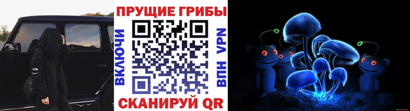 Псилоцибиновые грибы GOLDEN TEACHER  Мыски 