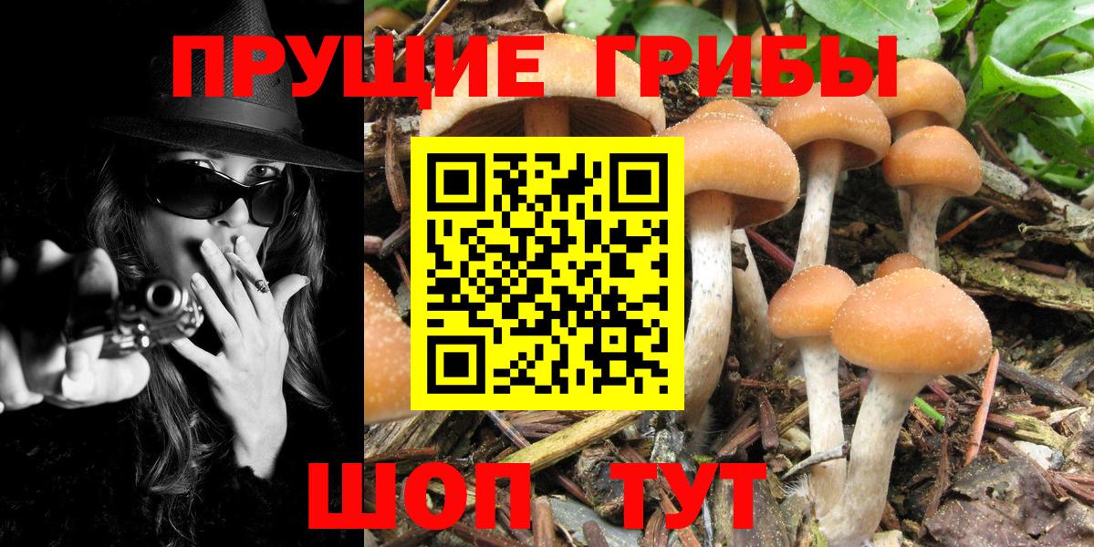 Мыски  Псилоцибиновые грибы Magic Shrooms  Вход с VPN 